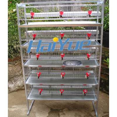 TAIYU Quail Bird Cages Visit Customers Every Year