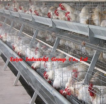 Poultry battery cages system