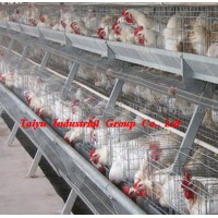 Poultry battery cages system