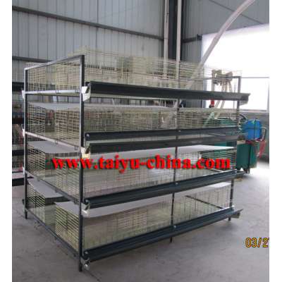 TAIYU Wholesale Bird Cage White For Chicks Broilers and Hens