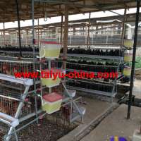 TAIYU A Type Chicken Manure Removal