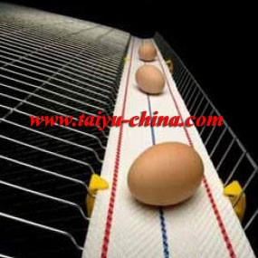 TAIYU Layer Poultry Cage with Egg Collection System