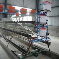 China/Chinese poultry farm layer cage