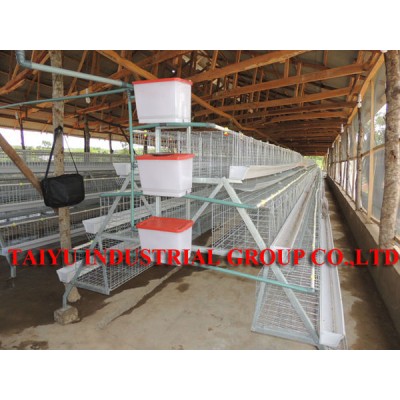 TAIYU Poultry Water Tank