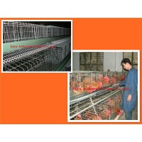 TAIYU-9 boiler/brooder chicken cage