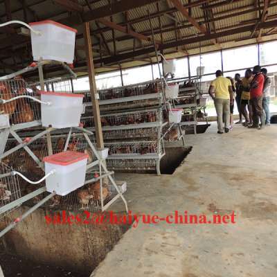 Supply Naira Bank Account Poultry Layer Battery Cage With Automatic Equipment