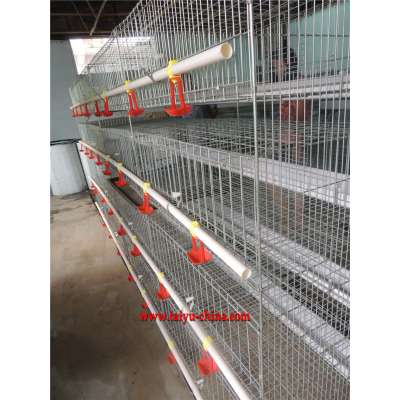 TAIYU Day Old Chicks Cage has Agent and Abroad farm Sample in Africa