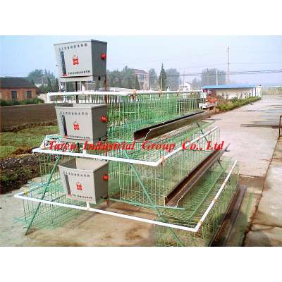 TAIYU-1 poultry cage (egg laying birds,broilers,breeding chicken, day old chicken)