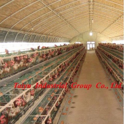 layer poultry rearing cages for Nigeria/Africa