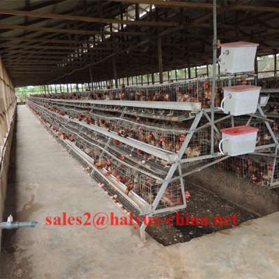 Ibadan Warehouse 120 Capacity Poultry Battery Cage With Naira Bank and Install team