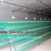 Factory-supplying Wholesale poultry cages (egg laying birds,broilers,breeding chicken, day old chicken)