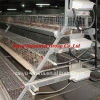 Taiyu-1 quail cages ( Professional Manufacturers )