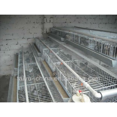 durable Pyramidal or Vertical type Quail cage for sale