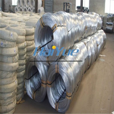 Electro Galvanized Wire (Haiyue Factory)