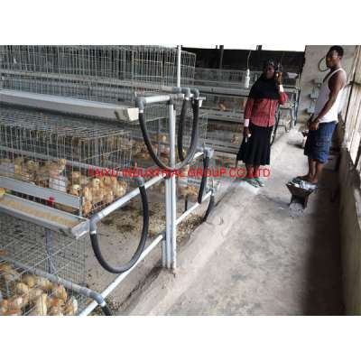 TAIYU cage for baby chick with all of the necessary fittings