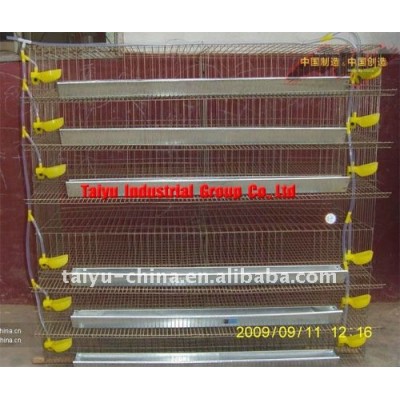 Taiyu-5 quail cages