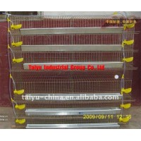 Taiyu-5 quail cages