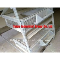 Taiyu-3 quail cages