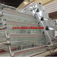 TAIYU Types of Poultry Equipment for Layer Feeding