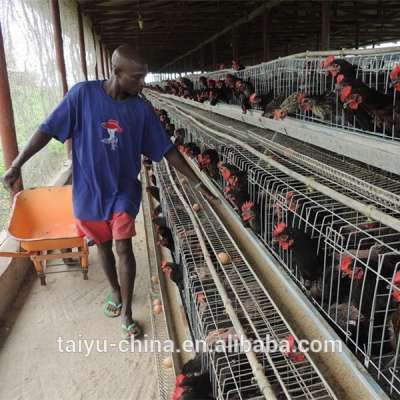 TAIYU Chicken Farm Chicken Cage for Sale