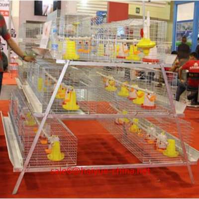 Taiyu design day old chicks cage for sale