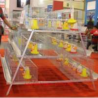 Taiyu design day old chicks cage for sale