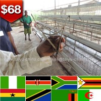 Nairobi kenya distributors automatic feeding layer cages system for 1000 to 20000 chicken in farms and design poultry house