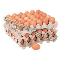 Taiyu-30 eggs high quality recycled waterproof pulp paper(in stock) egg tray