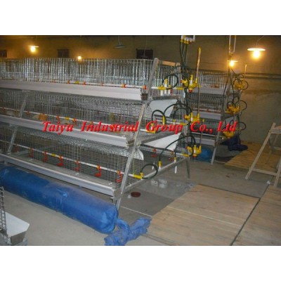 TAIYU-3 automatic broiler raising cage