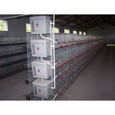 TAIYU Layer Chick Cage has Agent and Abroad farm Sample in Kenya Uganda Nigeria and so on