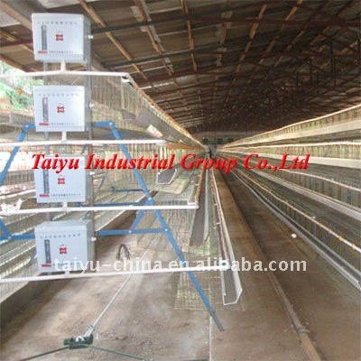 TAIYU-1 4 tier-A type egg laying chicken cage (Professional Manufacturer)