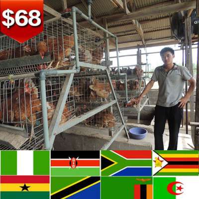 Waimaotong website uganda poultry farm automatic chicken layer cage for sale