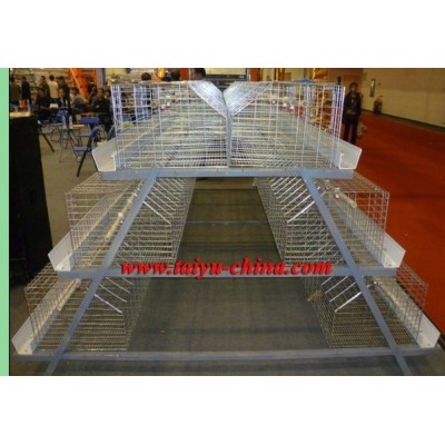 TAIYU Chicken Cage Equipment For Broiler Farm