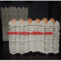 TAIYU high quality recycled pulp paper egg tray used in farm