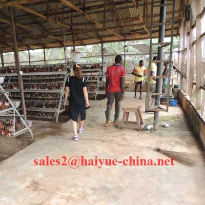 5 Years Changing Broken Accessories Freely Poultry Layer Cage For 5000 Birds