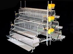 Manufacture California Chicken Cage