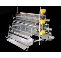 Manufacture California Chicken Cage